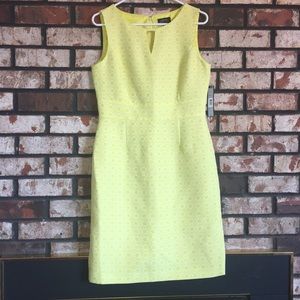 Brand New Tahari Dress